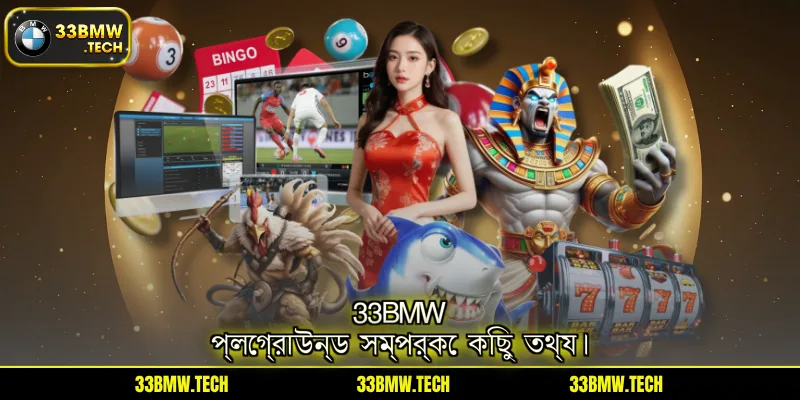 33BMW প্লেগ্রাউন্ড সম্পর্কে কিছু তথ্য।